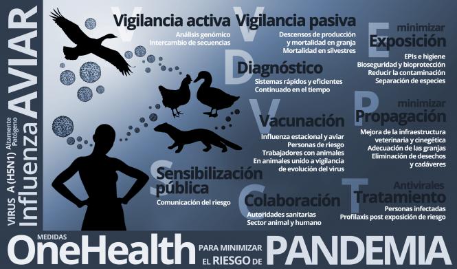 Claves para evitar una pandemia de gripe aviar. Sergio Gonzlez Domnguez. VISAVET-UCM